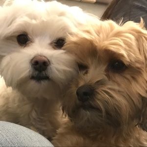 Meet your Posher, Luke